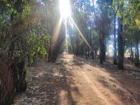 Soet 'n Rus - B&B Parys