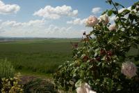 Happy - B&B Cernay-lès-Reims