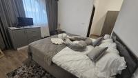 Casa Teo - B&B Melineşti