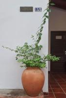 Habitación en casa rústica con aire acondicionado y wifi en el centro de Asunción - Bed and Breakfast Asunción