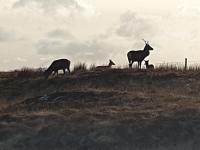 Chambre Lits Jumeaux - Vue sur Lac