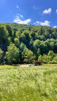 Hill de Charme - B&B Korostiv