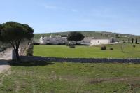 B&B Castel del Monte - Masseria Torre Di Nebbia - Bed and Breakfast Castel del Monte