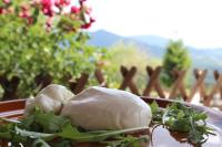 Masseria Monte Pizzi - B&B Carovilli