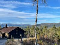 Sveheim - cabin with an amazing view - B&B Flå