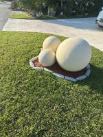 Miramar's Studio - B&B Miramar