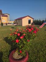 La Toscana Costinești - B&B Schitu
