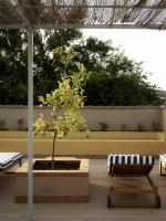 Azul & Limón Apartments - Ferienwohnung Córdoba