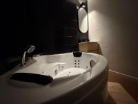 Feather room - voyage, love, sexx - B&B Troyes