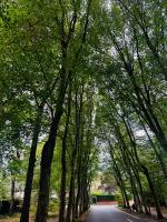 Luxury apartment-sleep5-parking-Wembley-Heathrow - B&B Gerrards Cross