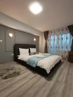 Apartment Premium - Ferienwohnung Topliţa