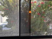 Butterfly - Ferienwohnung Haifa