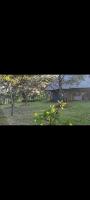 Kweza Cottages - B&B Chimanimani