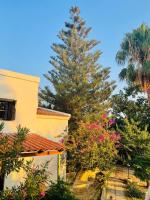 Rose of Crete - B&B Plataniás