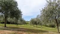 Asinara Charme Studio - B&B Sorso