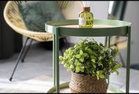 Green House Center - B&B Naples