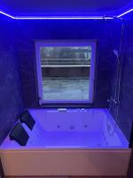 Chalet sur le toit de Strasbourg SPA Cinéma - Chambres d’hôtes Strasbourg