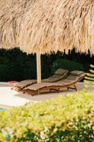 The Green Turtle Eco Lodge - B&B Willemstad