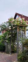Ruhiges Elbhäuschen nahe Hamburg - B&B Twielenfleth