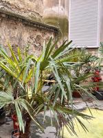 Japan Style Loft, Ruhig und elegant, Longsstay friendly - B&B Vienna