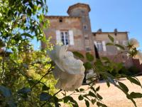 Château de Thégra - B&B Balma