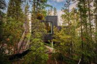 Black Spruce - Orange Door - B&B Whitehorse