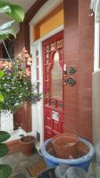 Edwardian Apartment Garden Flat - B&B