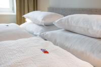 Studio-appartement met Queensize Bed