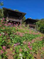 Camelliana Horizon Pongyang -Nature Retreat - B&B Mae Rim