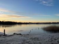 Davinde Bed & Breakfast - Chambres d’hôtes Odense