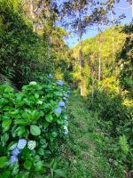 Chalé Foroni - B&B Cunha