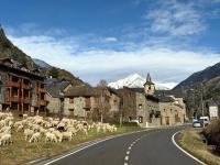 Apartament Boet - Ainet de Cardós - L'Amfitriona - B&B Valdegrudas