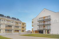 Cortaderia Haven - SPA & Parking - B&B Ustronie Morskie