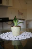 Loft Pinheiro - B&B Belém