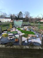 La Parenthèse colorée - spacieux - 12mn du Parc - B&B Châteaumur