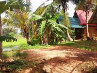 Amuna Villa - B&B Habarana