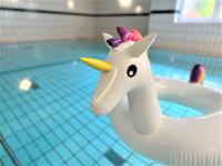 Gemütliches Apartment im Bayerischen Wald NETFLIX POOL SAUNA WiFi - B&B Zwiesel