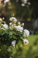 Camera Matrimoniale Superior