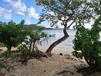 Coquet Studio - B&B Sainte-Anne