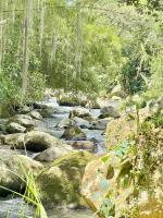 Cabaña frente al Río-Curití-San Gil - Bed and Breakfast Curití