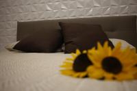 B&B Il Duomo - Bed and Breakfast