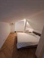 Vydūno apartamentai 10 - B&B Kaunas