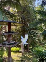 The Nature Nook - B&B Upper Mudgeeraba