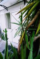 Marinella House Napoli centro Piazza Dante - B&B Napoli