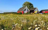 Am Weidenbaum - Bed and Breakfast Wandlitz
