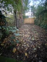 Charming 3BR in Oxford Centre - Bed and Breakfast Oxford