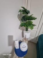 Chez-moi wiss - B&B Sfax