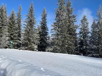 MONTANA - B&B Jahorina