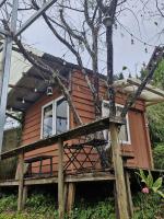 Mùa Hoa Ở Lại homestay - B&B Ấp Xuân An