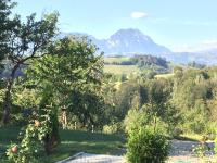 Pensiunea 7 Brazi - Ferienwohnung